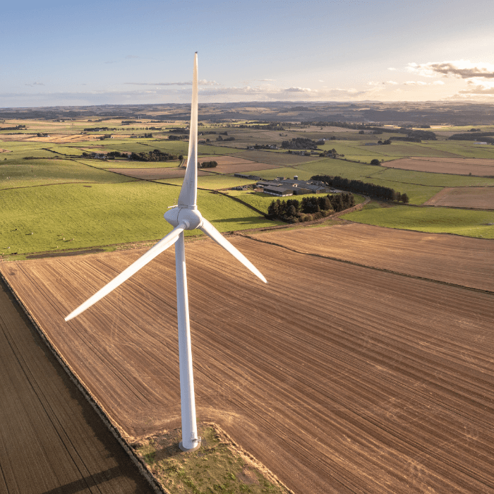 What are Enterprise Ireland grants and how do they work?