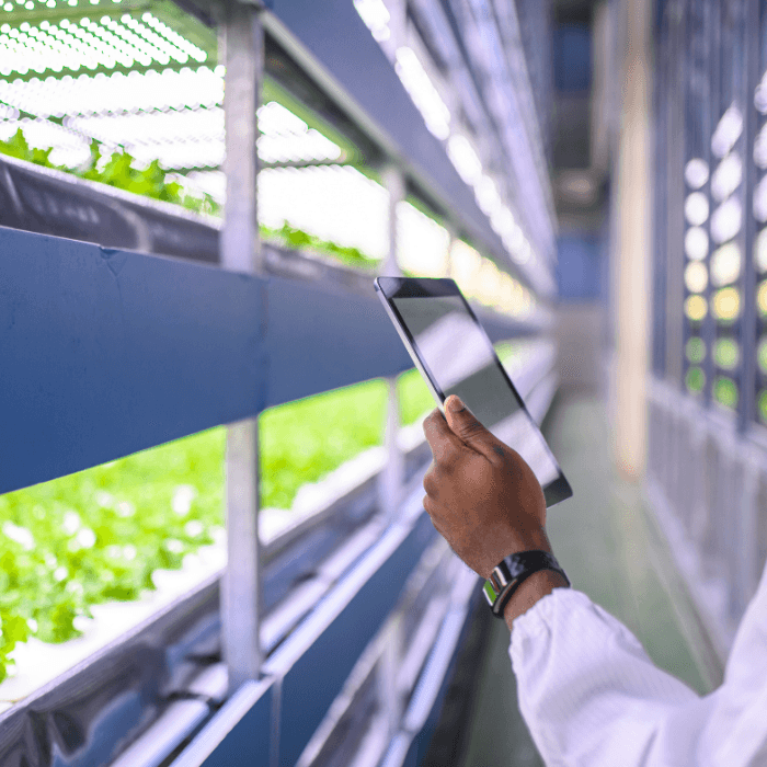 What are the key risks and pitfalls for CFOs?