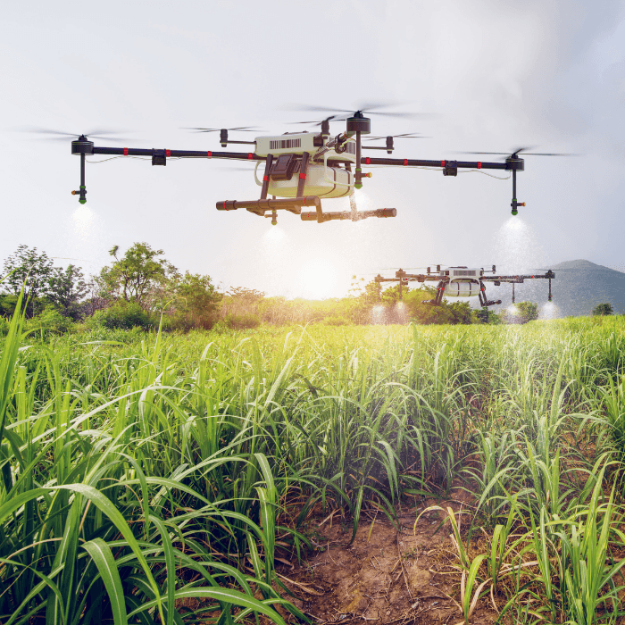 How much funding is available from Enterprise Ireland grants?