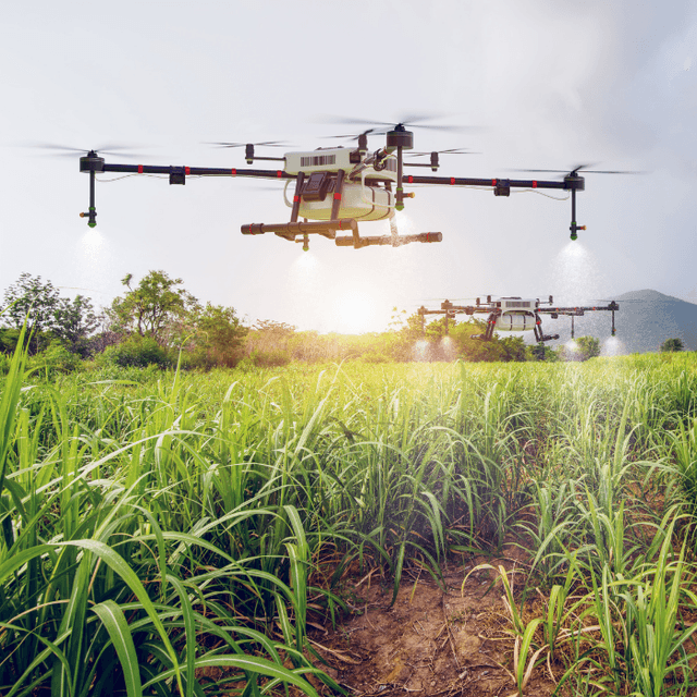 R&D Tax Credit Eligibility in Ireland